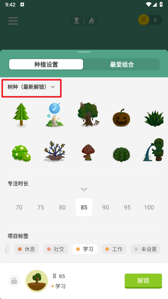 forest专注森林